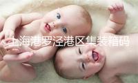 上海港罗泾港区集装箱码头改造二期工程开工