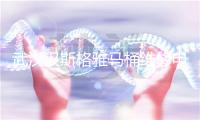 武汉汉斯格雅马桶维修电话号码